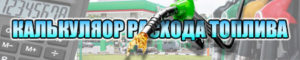 Дорожные знаки пешехода